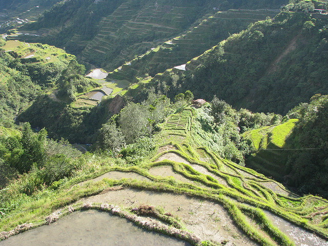 Banaue Rice Terraces