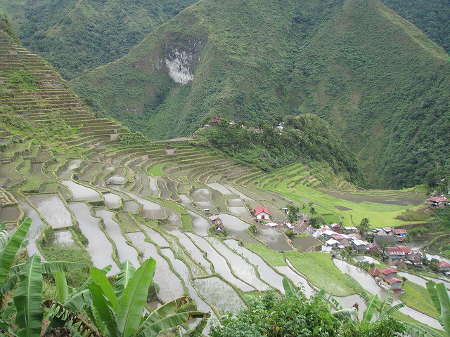 Banaue Rice Terraces