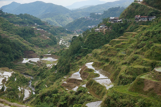 Banaue Rice Terraces