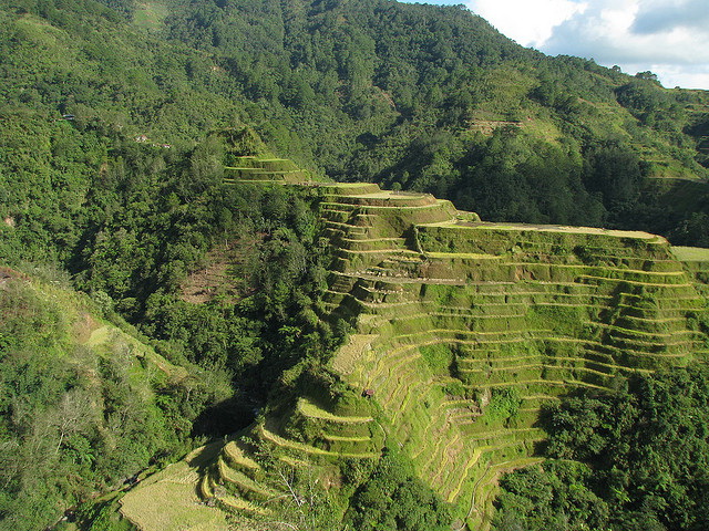 Banaue Rice Terraces